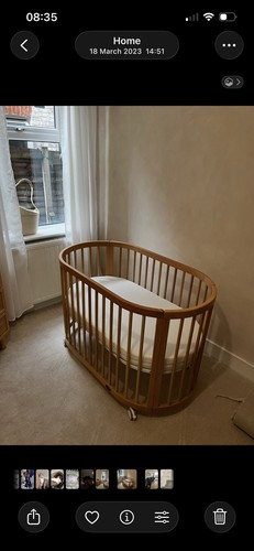 Boori oasis beech cot - boori, oval