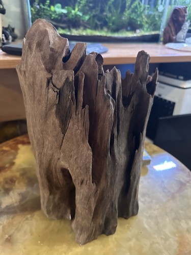 Large natural aquarium - large,
