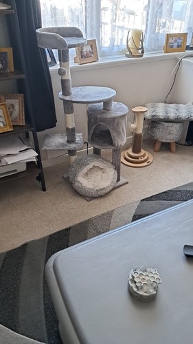 Dog cat bed hooded kitten - bed,