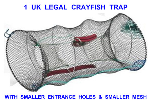 Legal crayfish trap live - 1,