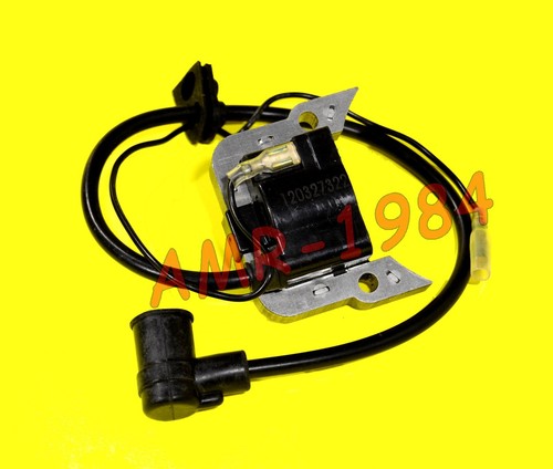 Electronic coil malaguti - electronic,