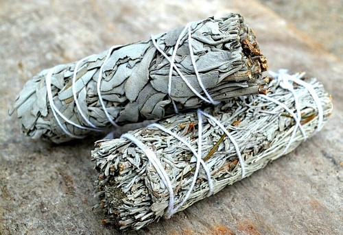 White sage smudge sticks - sage,