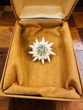Vintage Edelweiss Flower