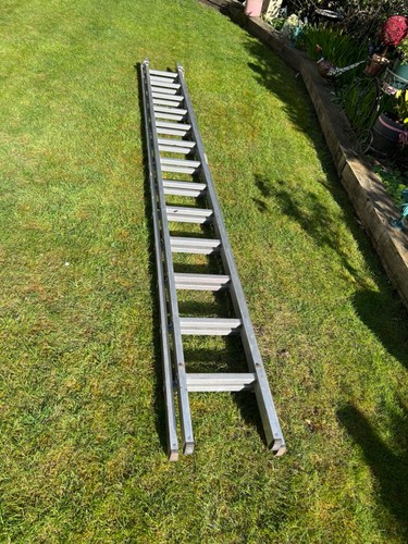 Youngman ladder section - youngman,