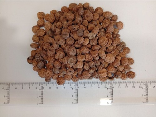 Mixed tiger nuts for fishing - for,