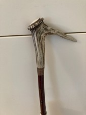 Red Deer Antler CORONET  STICK