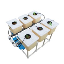 6 Site Hydroponic Growing Kit Dutch Bato Bucket Strawberry Tomato Plant System