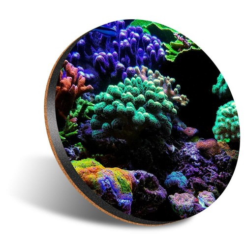 Round 12cm coaster - 1,