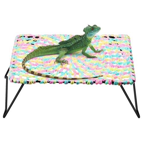 Pet supplies reptile - ,