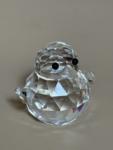 Beautiful crystal sparrow baby - beautiful,