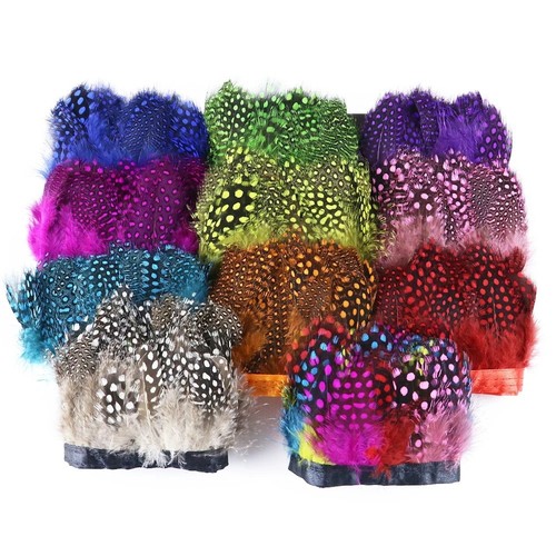 Guinea fowl feather - fowl,