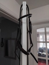 Stubben bridle and reins