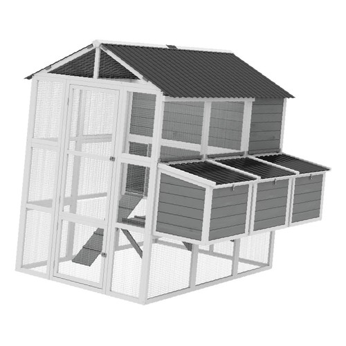 Premium outdoor chicken - outdoor, coop