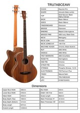 Guitar By Tanglewood, Model