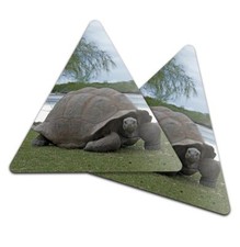 2x Triangle Coaster - Aldabra