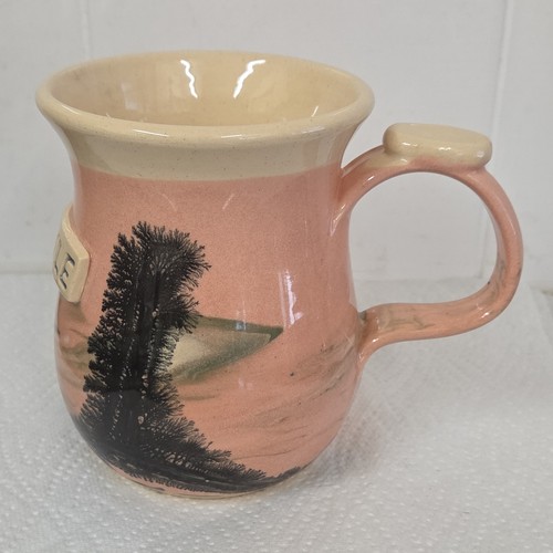 Boscastle pottery mocha ware - boscastle,