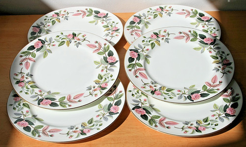 Wedgewood hathaway rose - wedgewood,