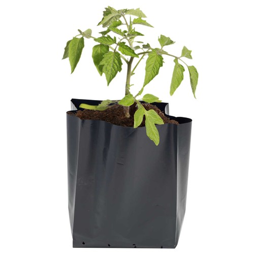 Litre black poly - litre,