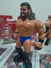 Wwe Wwf Hasbro Custom Barry