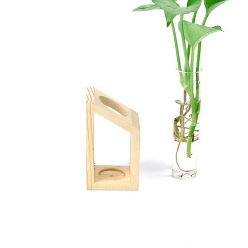 Test tube flower - test, on