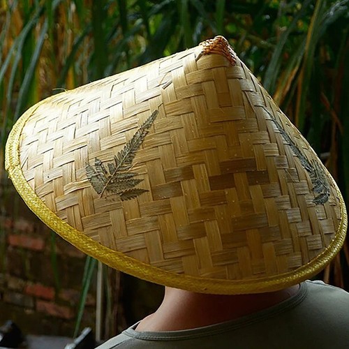 Bamboo hat chinese rattan - bamboo,