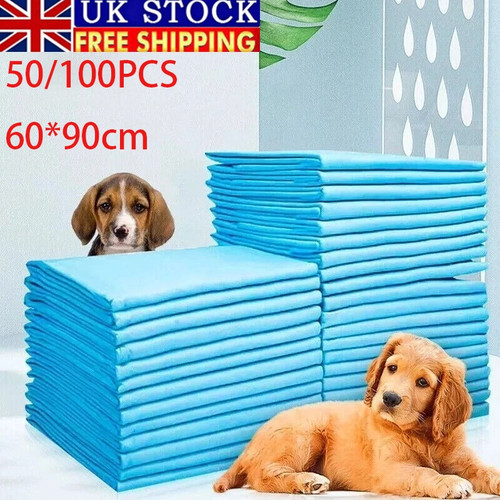 100 large puppy training - 100,