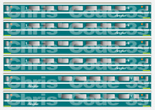 Adhesive Vinyl Coach Decal