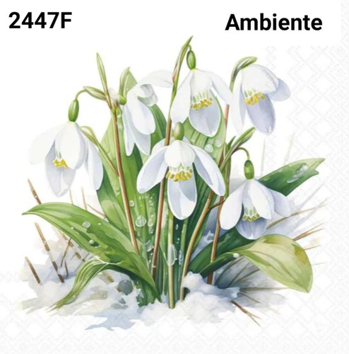 Snowdrops winter single - 4, /winter