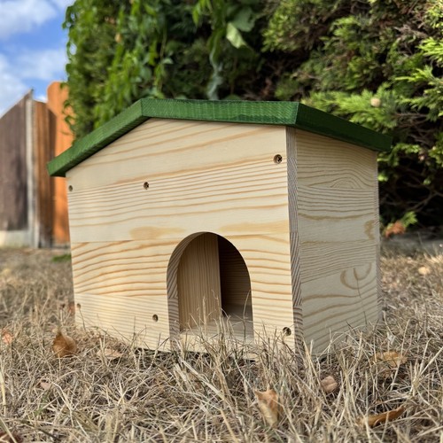 Premium wooden hedgehog - hedgehog, house