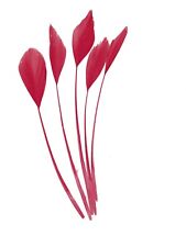 Long Fascinators Feathers