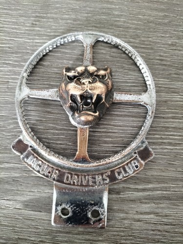 Vintage jaguar drivers - vintage, drivers’