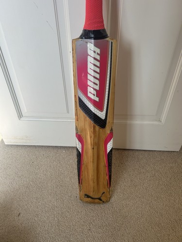 Puma evolution 5000 cricket - puma,