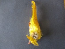 golden pheasant head topping crest fly tying materials