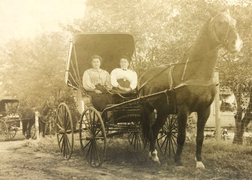 Rppc horse drawn buggy women - drawn,