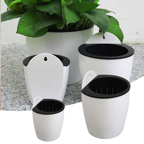 Self watering plant flower pot - plant,