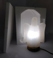 Angel Shaped White Himalayan