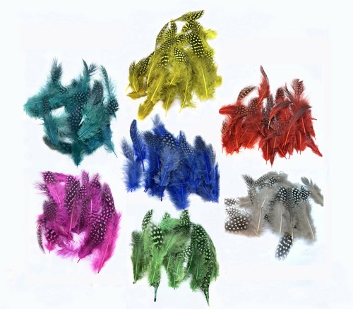 Fly tying guinea - fowl, plumage
