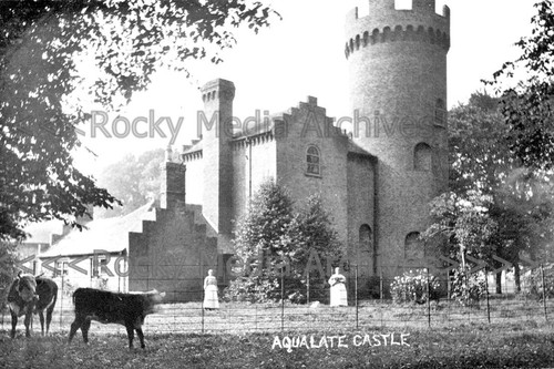 Bcs aqualate castle - bcs-2,