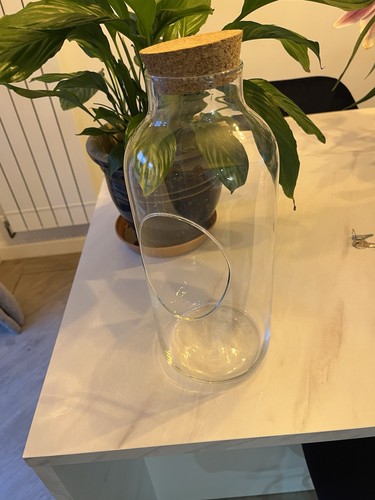 Tall terrarium - tall,