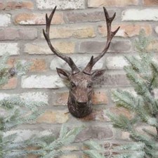 Stag Head