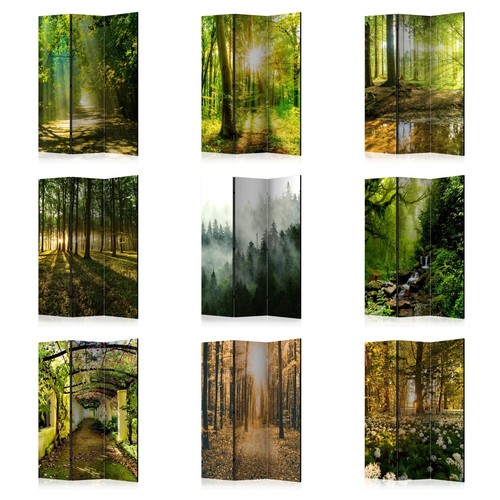 Folding screen room divider - folding,