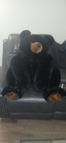The bearington collection - bearington,