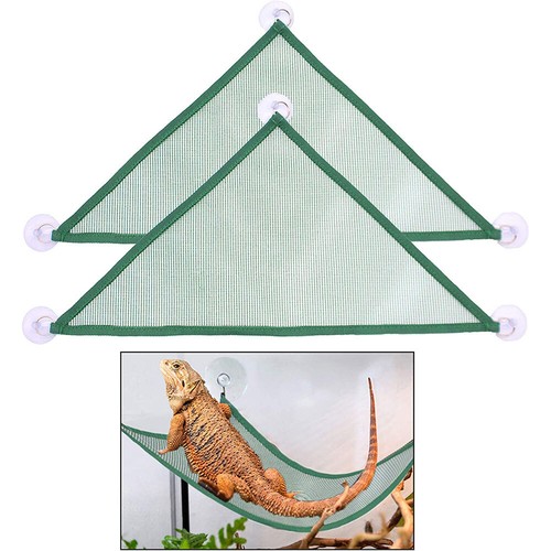 Bearded dragon hammock habitat - dragon,