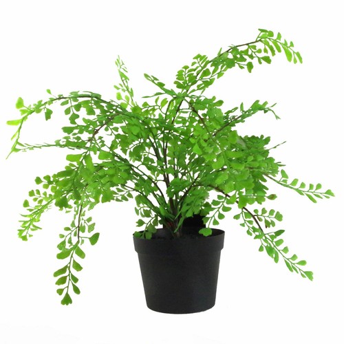 Artificial potted fern plant - potted,