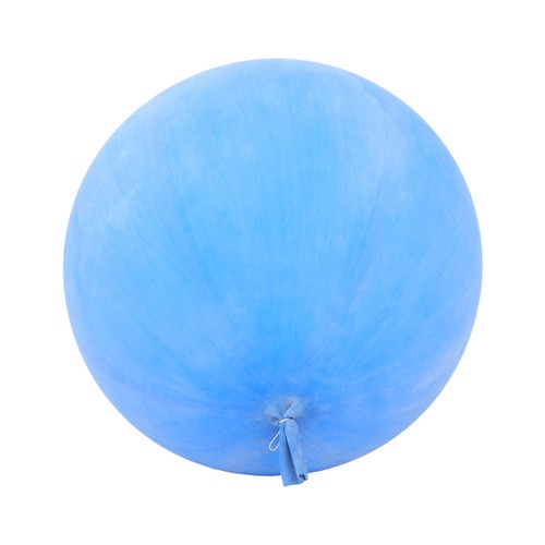 Professional weather balloon - professional,
