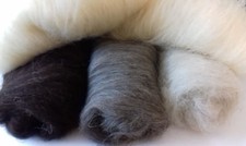 Pure Shetland Carded Core Wool Batts 4 Colours Undyed Natural UK Breed Felt Spin