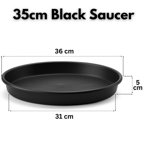 Black plant pot - plant,