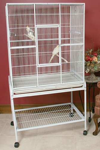 Large bird flight breeding - x-large,