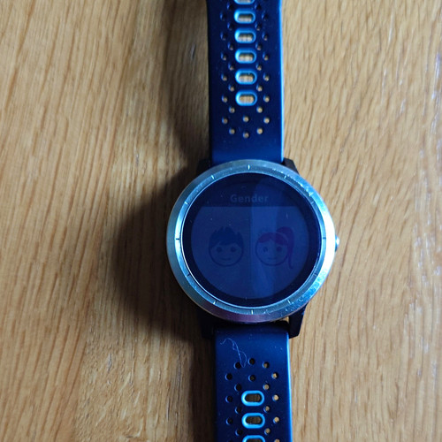 Garmin vivoactive gps - garmin, heart