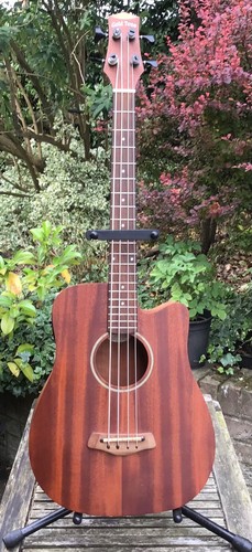 Goldtone m25 shortscale - goldtone,